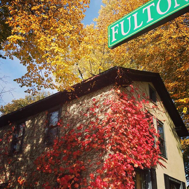 Fall Colors - @dennadesignstudio